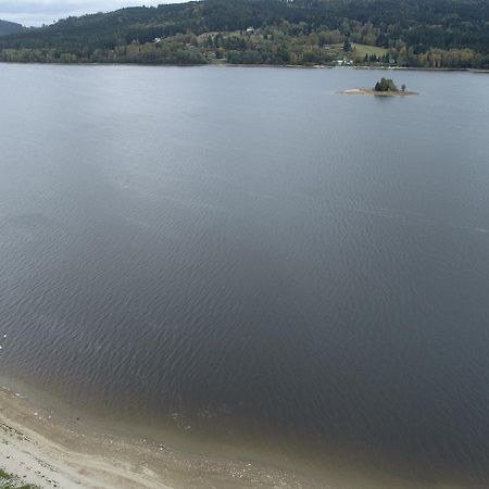 Sunny House Villa Lipno nad Vltavou Dış mekan fotoğraf