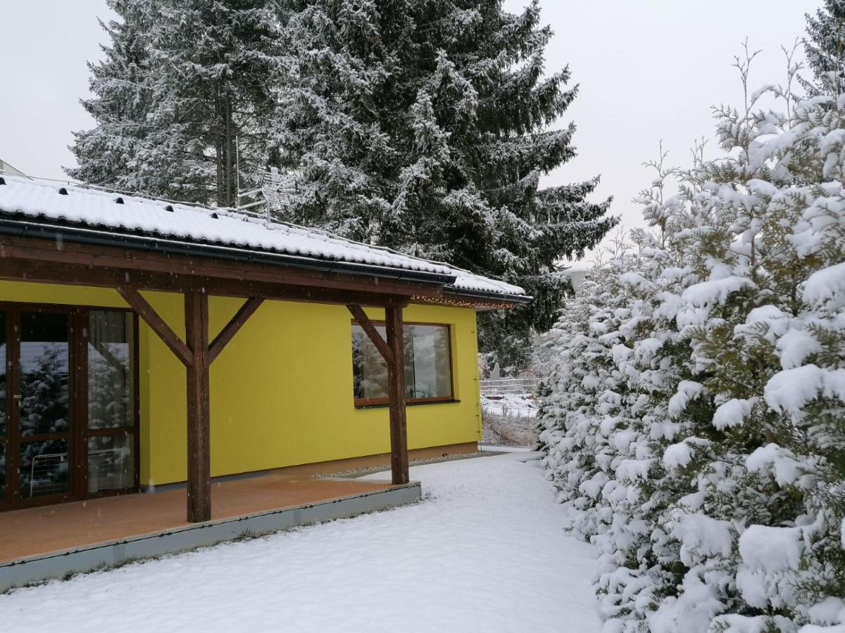 Sunny House Villa Lipno nad Vltavou Dış mekan fotoğraf