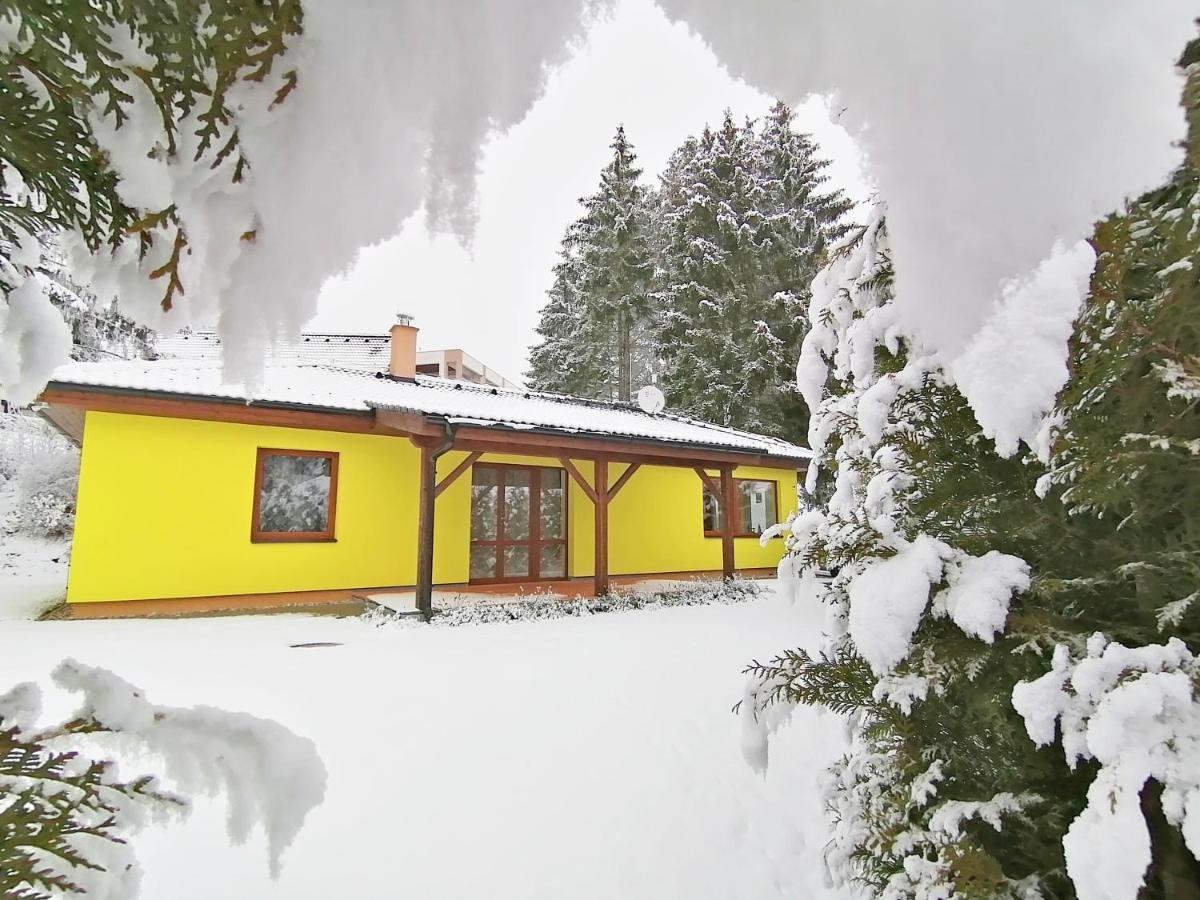 Sunny House Villa Lipno nad Vltavou Dış mekan fotoğraf