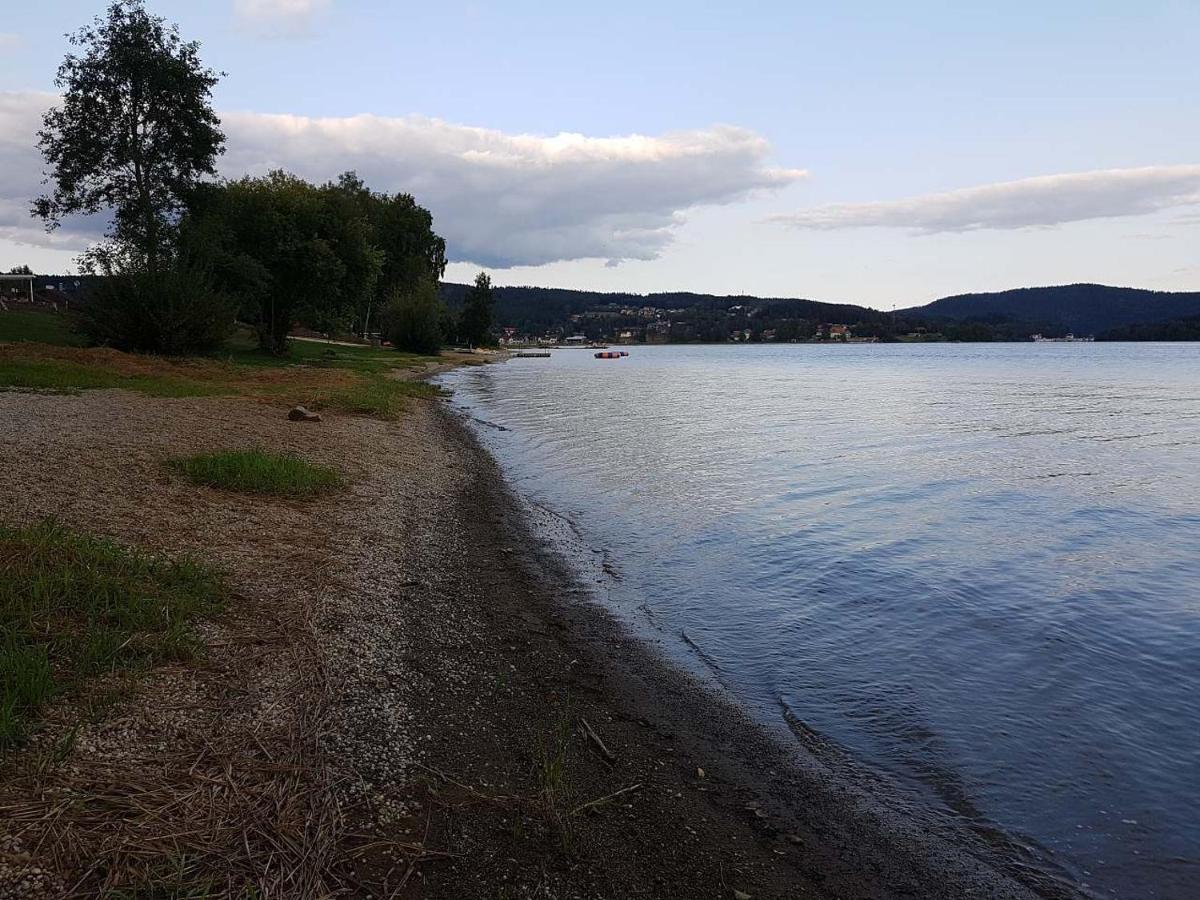 Sunny House Villa Lipno nad Vltavou Dış mekan fotoğraf