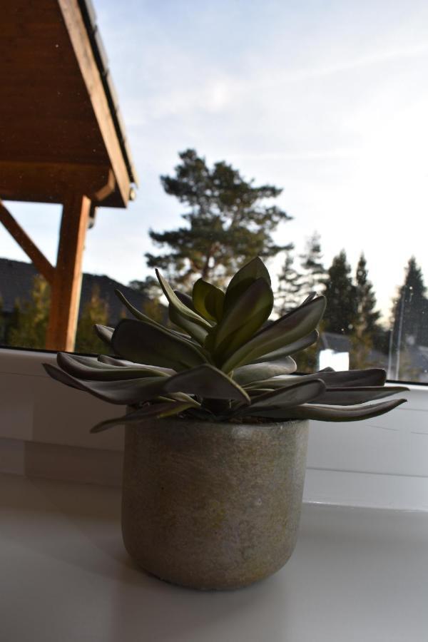 Sunny House Villa Lipno nad Vltavou Dış mekan fotoğraf